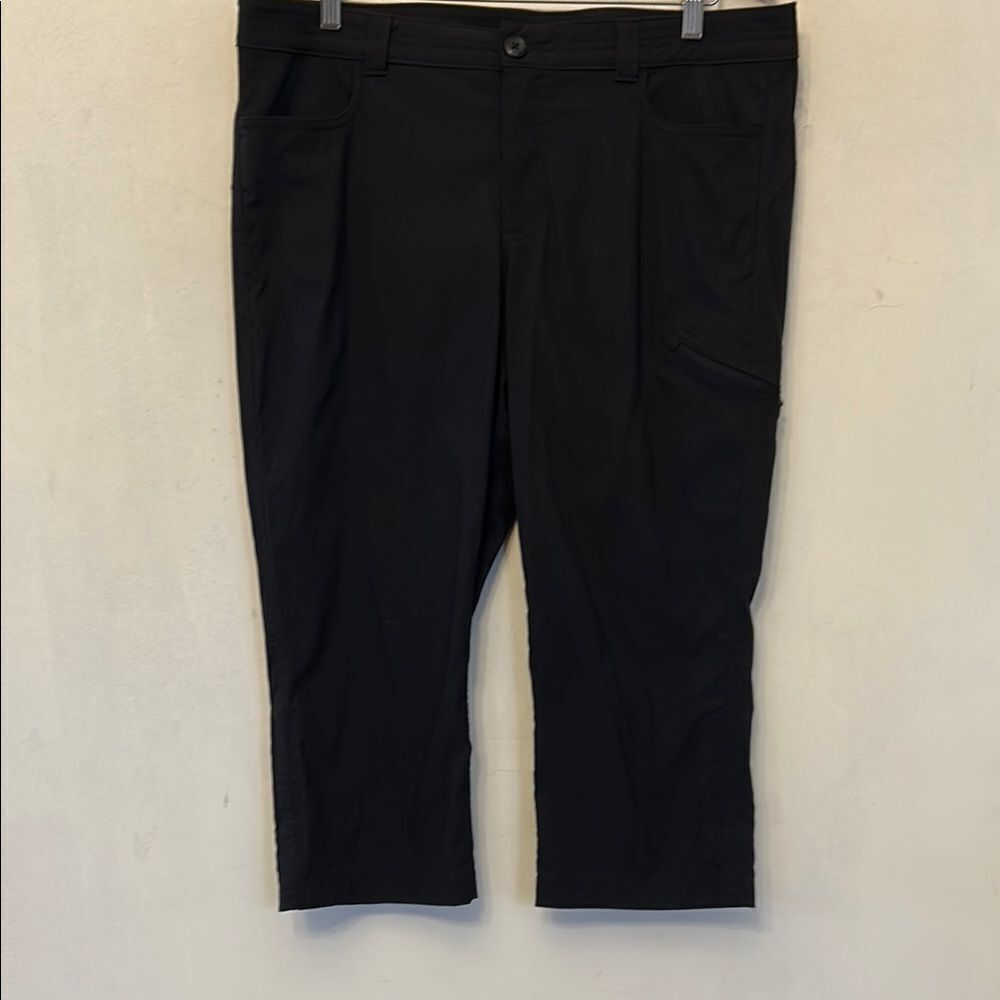 Eddie Bauer Black Outdoor
Cropped Pants Adjustable ankle Size 16 EUC